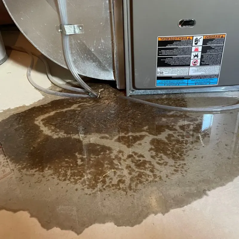 Pipe Burst and Leak Restoration in Somersworth, NH